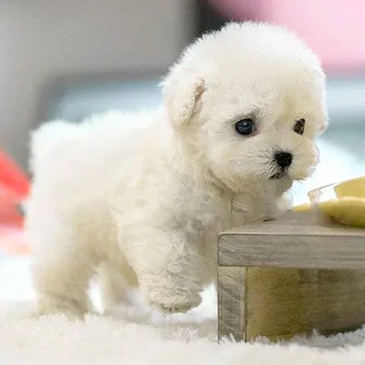 Interactive Plush Dog Toy – Realistic Walking Puppy