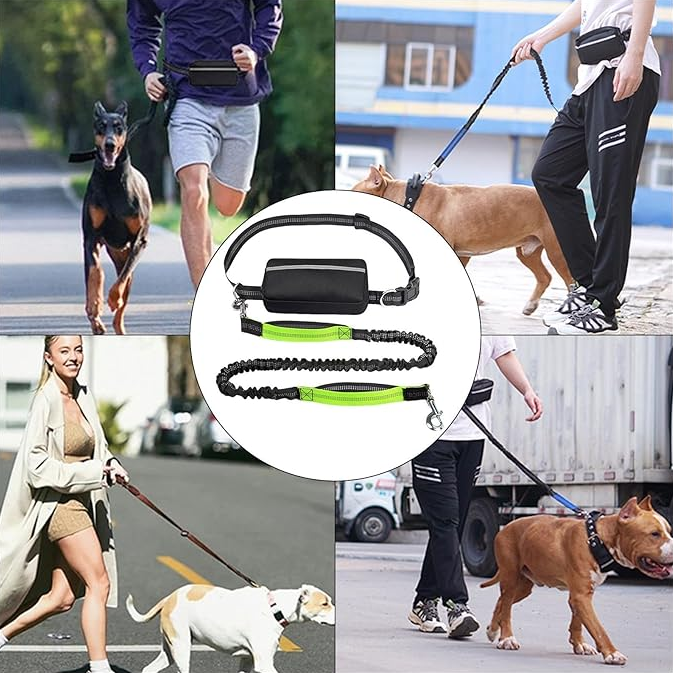 Hands-Free Running Belt Bungee Pet Leash - Adjustable, Shock-Absorbing, Safe