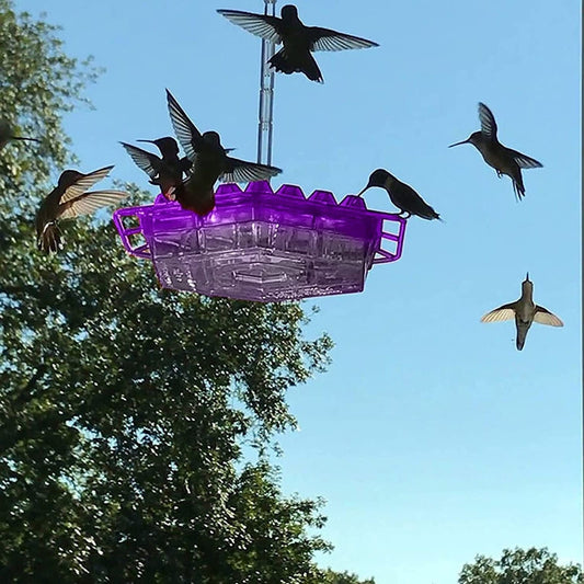 Ant Proof Hummingbird Feeder – Outdoor Hanging with Perch