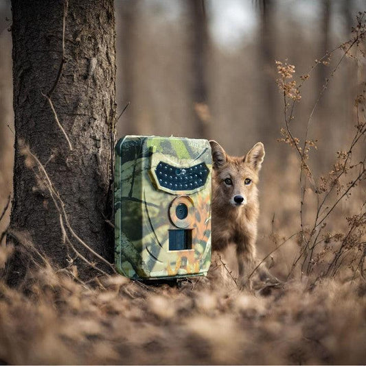 Waterproof Trail Camera – HD Wildlife Motion Detection Cam