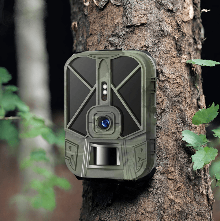 Waterproof Trail Camera β HD Wildlife Motion Detection Cam