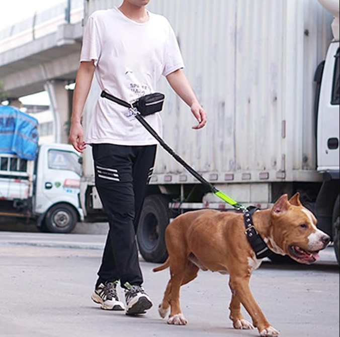 Hands-Free Running Belt Bungee Pet Leash - Adjustable, Shock-Absorbing, Safe