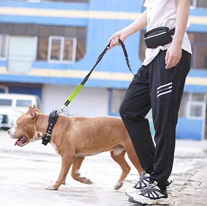 Hands-Free Running Belt Bungee Pet Leash - Adjustable, Shock-Absorbing, Safe