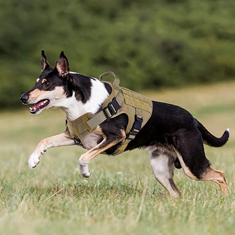 Tactical Dog Harness Vest – Adjustable w/ Handle for GSD
