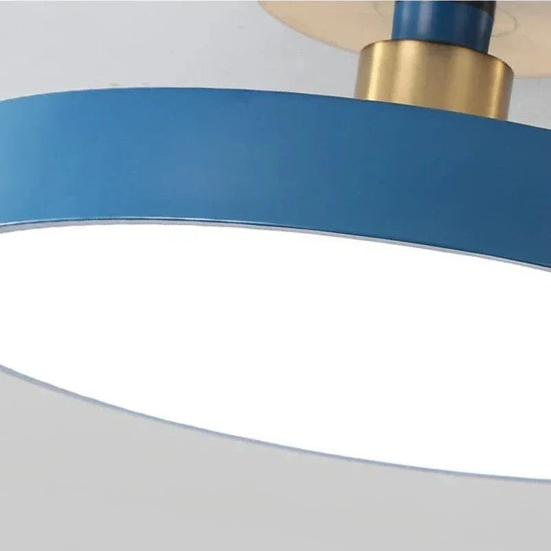 Modern LED Ceiling Light Fixture for Indoor Lighting