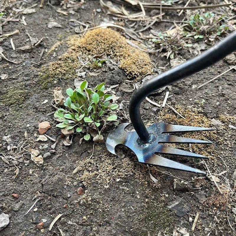 Handy weed control tool – Garden weed remover