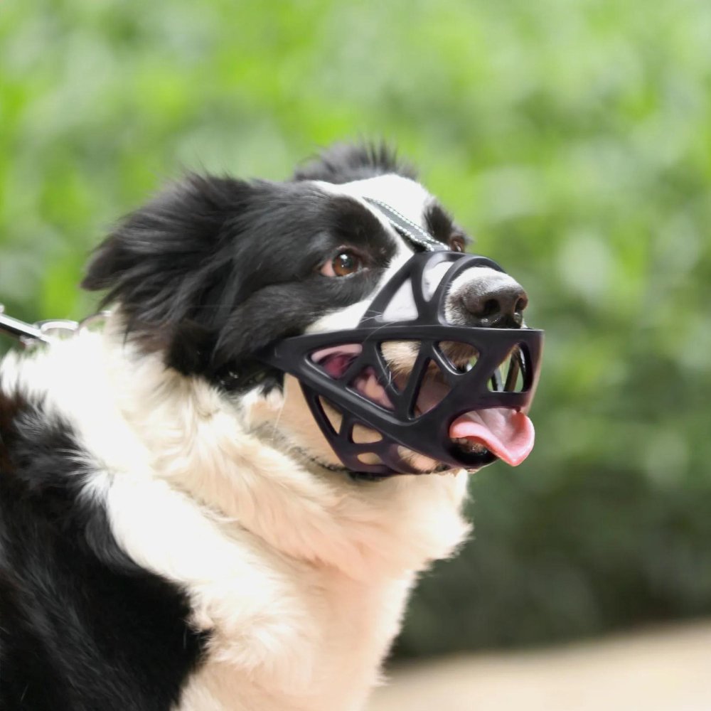 Adjustable Dog Muzzle – Safe Anti-Bite Training Guard