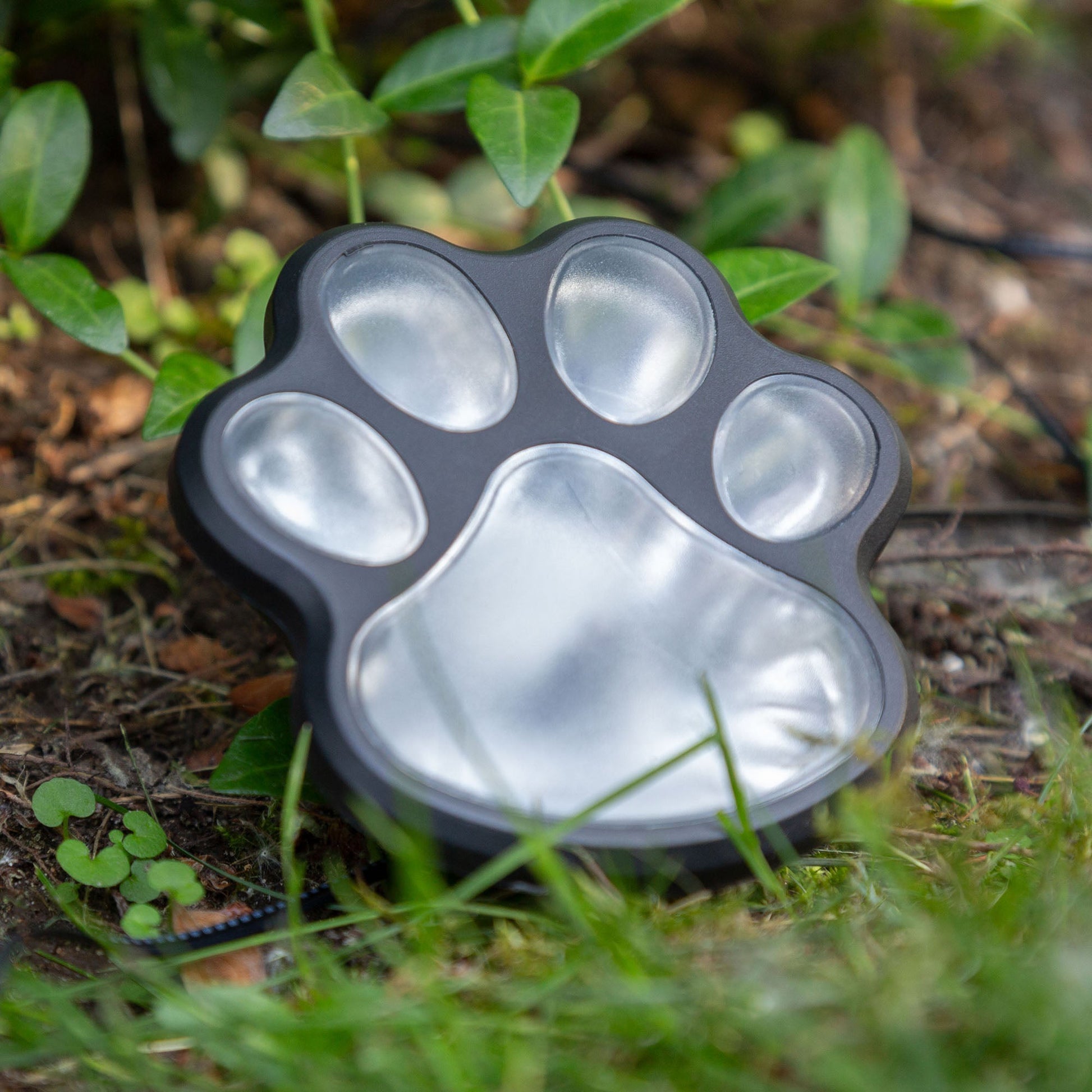 Paw Print Solar Ground Lights – Set of 4 – image 7