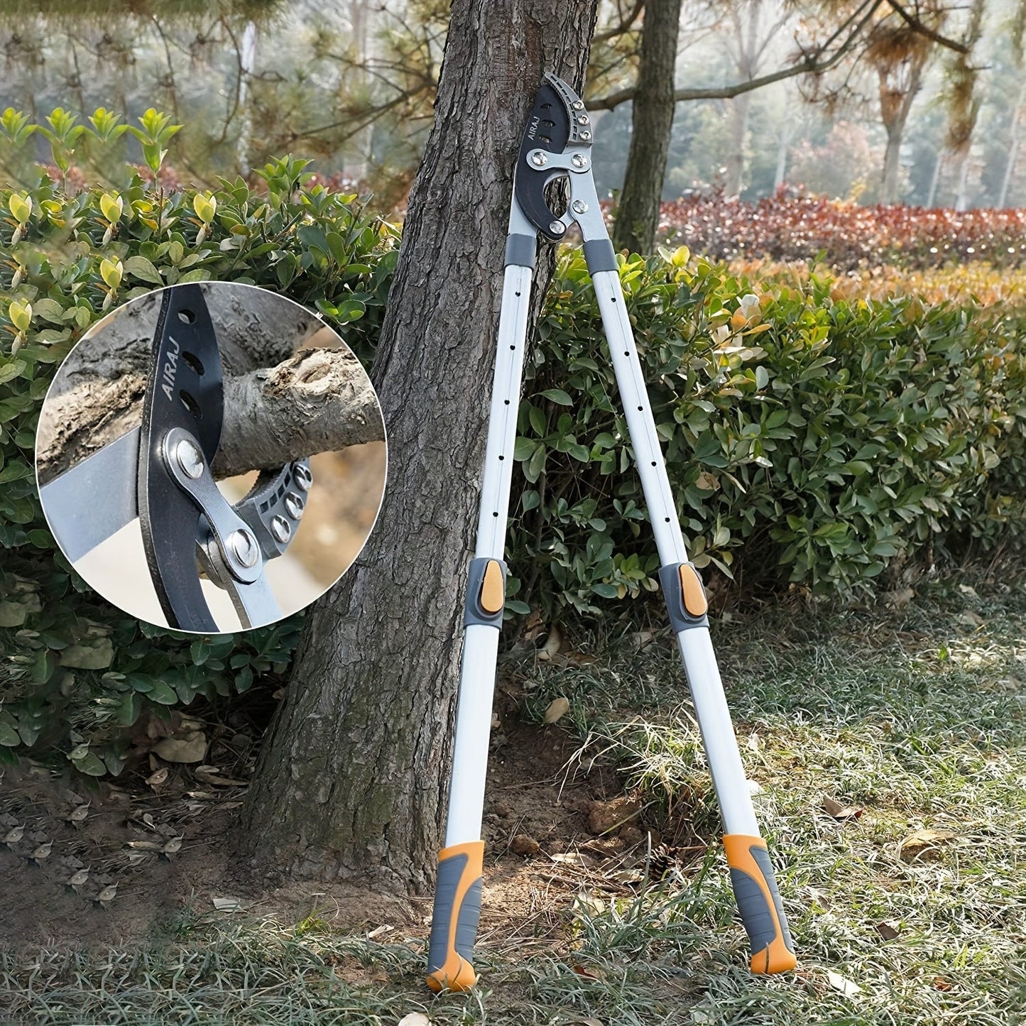 Extendable Garden Loppers – Long Reach Branch Cutter