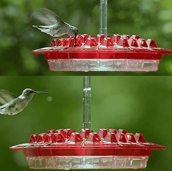 Ant Proof Hummingbird Feeder – Outdoor Hanging with Perch