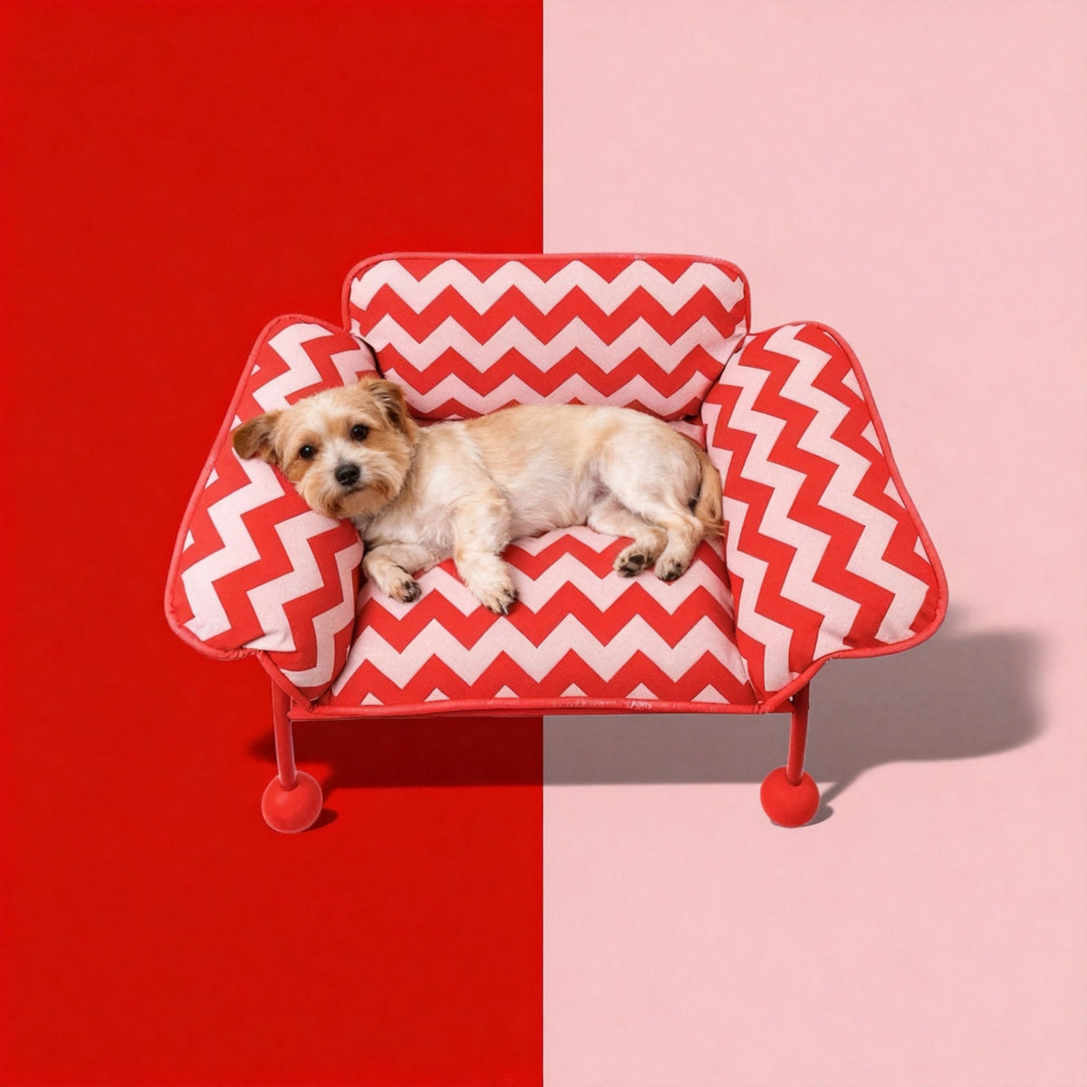 2-in-1 Pet Sofa Hammock – image 2