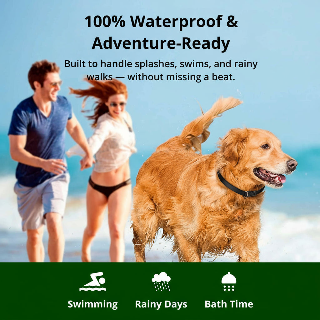 Waterproof Dog Training Collar – Remote Control