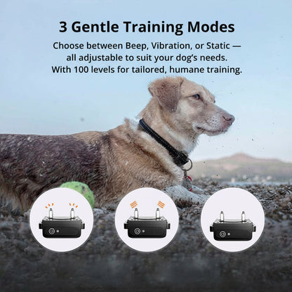 Waterproof Dog Training Collar – Remote Control