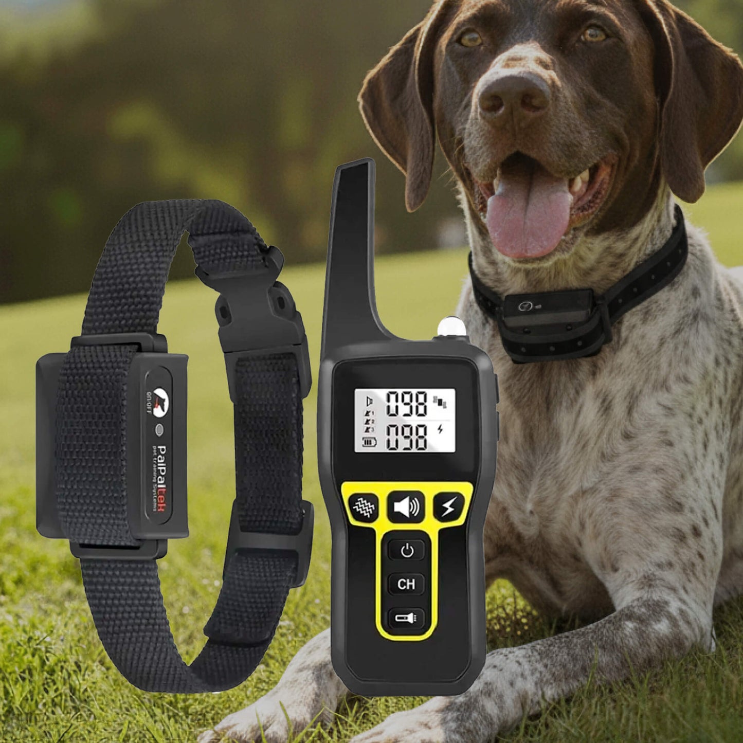 Waterproof Dog Training Collar – Remote Control