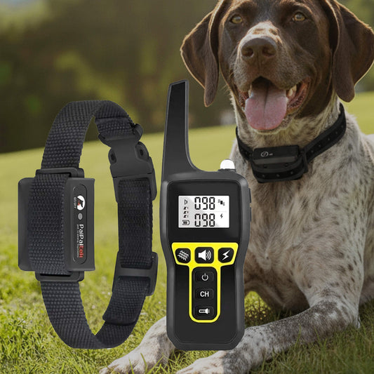 Waterproof Dog Training Collar – Remote Control