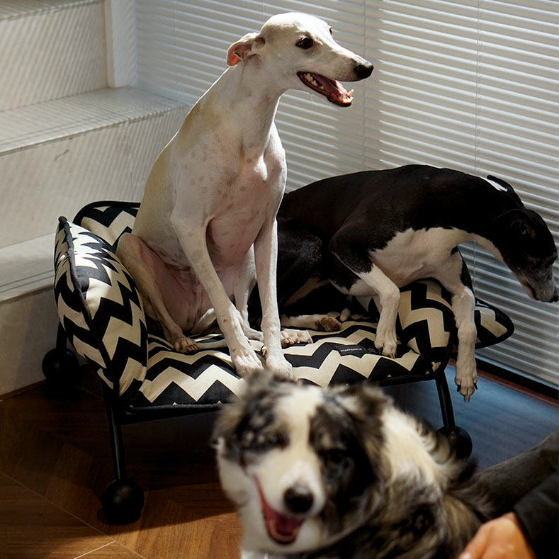 2-in-1 Pet Sofa Hammock – image 13