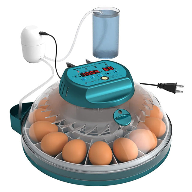 15-Egg Automatic Incubator with Humidity Control & Candler