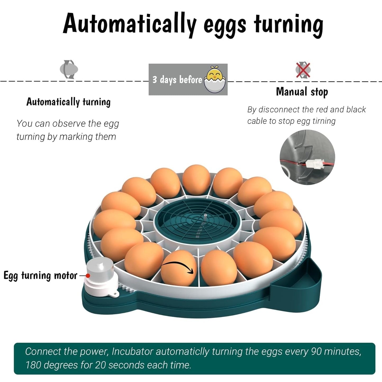15-Egg Automatic Incubator with Humidity Control & Candler