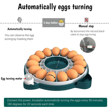 15-Egg Automatic Incubator with Humidity Control & Candler