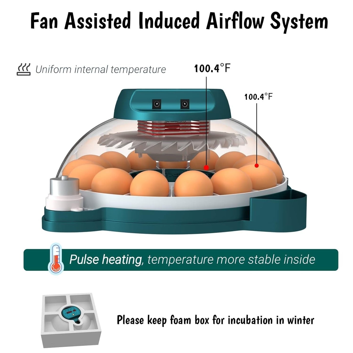 15-Egg Automatic Incubator with Humidity Control & Candler