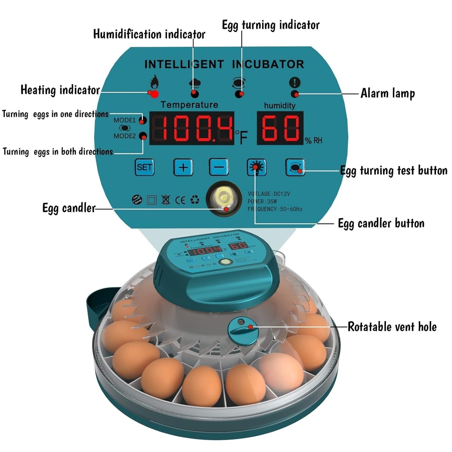 15-Egg Automatic Incubator with Humidity Control & Candler