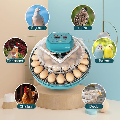 15-Egg Automatic Incubator with Humidity Control & Candler