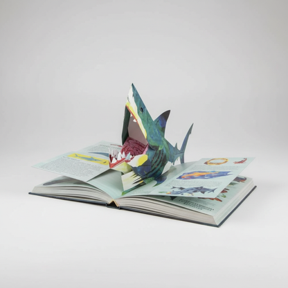 3D Pop-Up Dinosaur Book – Interactive Kids Storybook