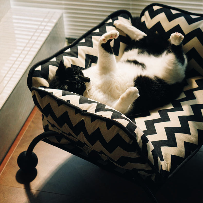 2-in-1 Pet Sofa Hammock – image 17