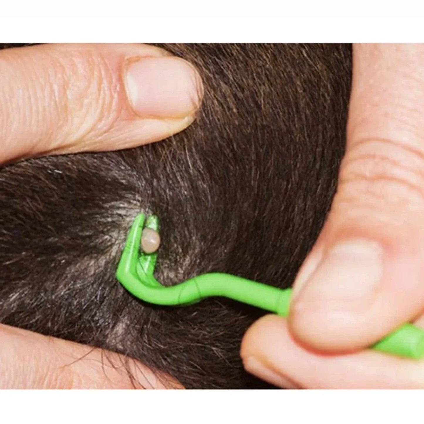 Tick Remover Tool for Dogs & Pets