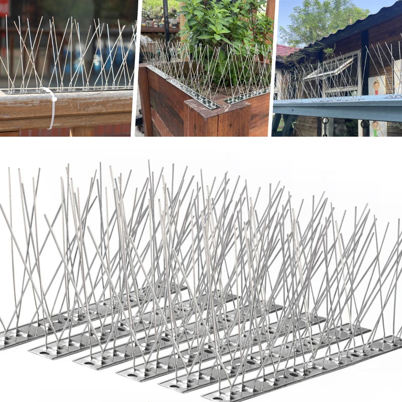 Stainless Steel Bird Repellent Spikes for Outdoors