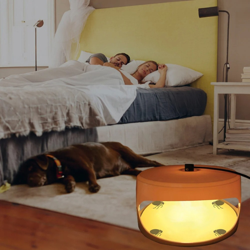 Indoor Bed Bug Trap for Home Protection