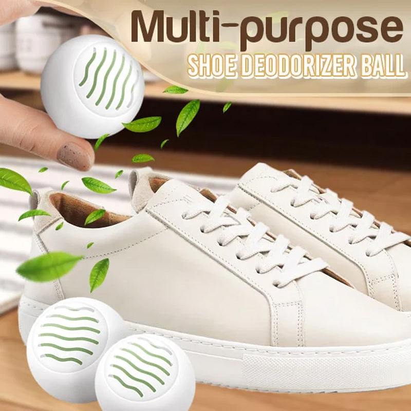 6PCS Anti-Odor Sneaker Balls - Freshen & Deodorize Shoes