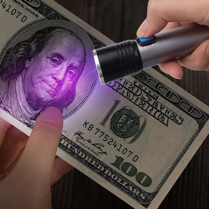 UV Blacklight Flashlight for Stain & Urine Detection