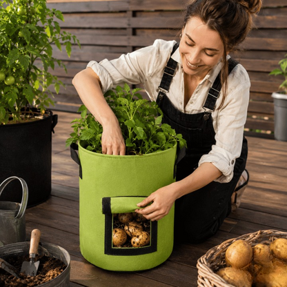 Potato planting bag with harvest window