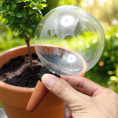 500ML Self-Watering Plant Bulbs – Automatic Water Globes