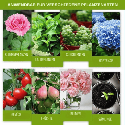 Liquid plant fertilizer 30 ml for flowers and growth