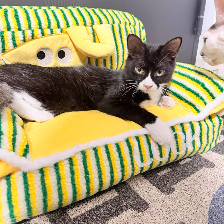 Fluffy Pet Sofa Bed – image 17