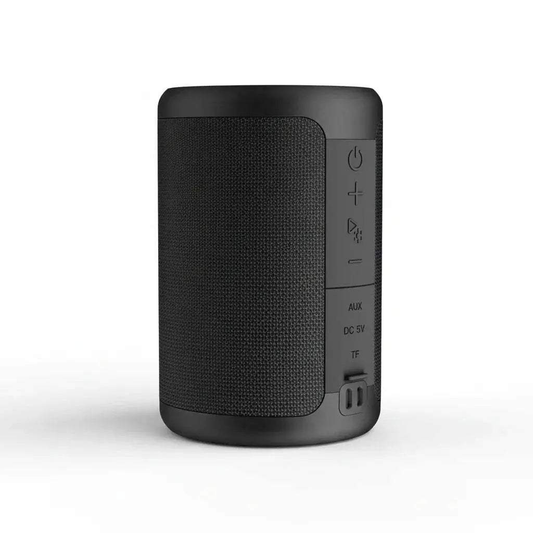 30W Portable Bluetooth Speaker 1