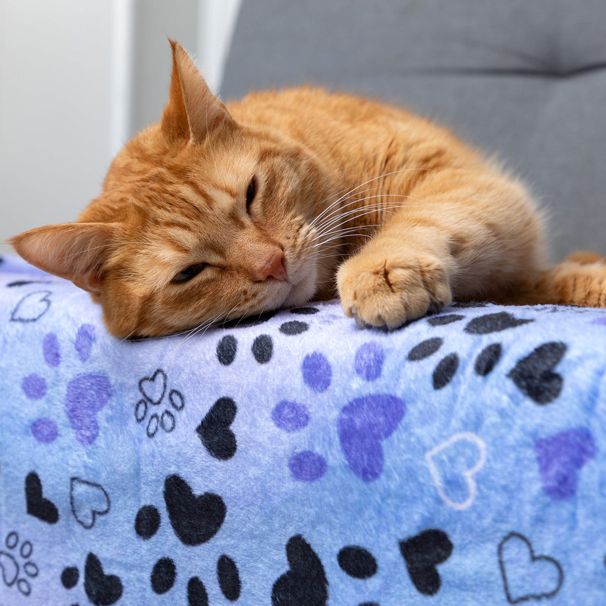 Soft and Cosy Furry Friends Pet Blanket – image 9