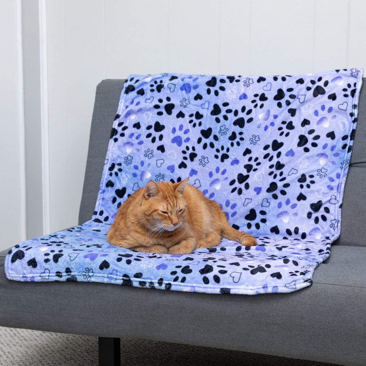 Soft and Cosy Furry Friends Pet Blanket – image 8