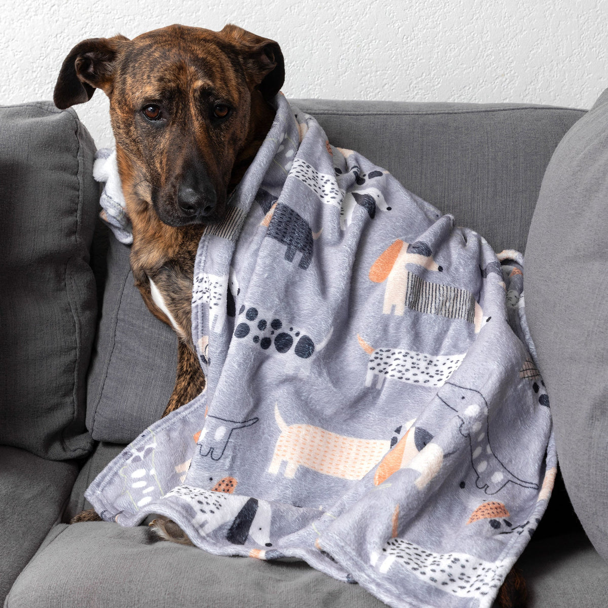 Soft and Cosy Furry Friends Pet Blanket – image 2