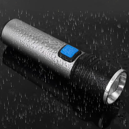 UV Blacklight Flashlight for Stain & Urine Detection