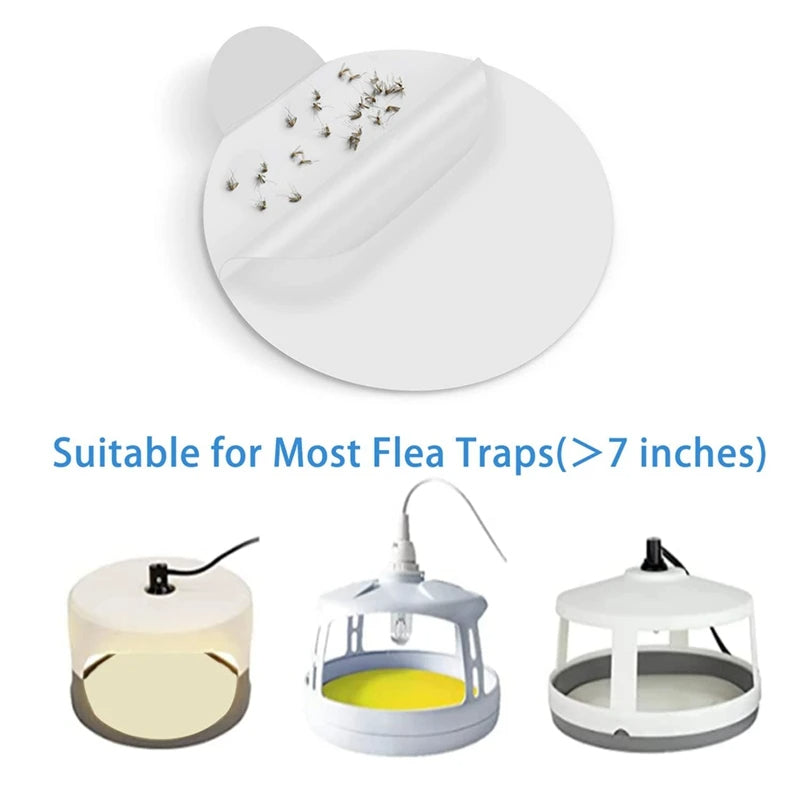 Bed Bug Trap Refill Glue Boards for Sticky Traps