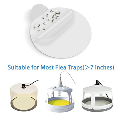 Bed Bug Trap Refill Glue Boards for Sticky Traps