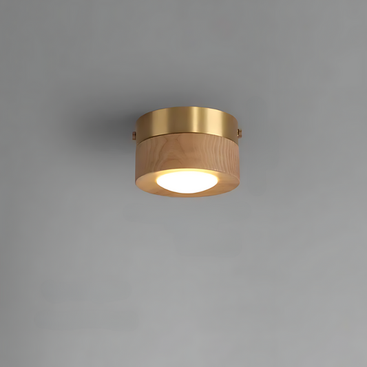 Walnut Ceiling Light LED Spotlight Modern Fixture