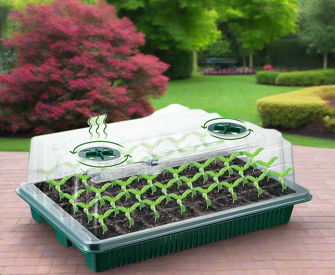Seed Starter Trays with LED Grow Lights – 80 Cell Kit