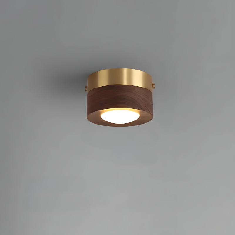 Walnut Ceiling Light LED Spotlight Modern Fixture