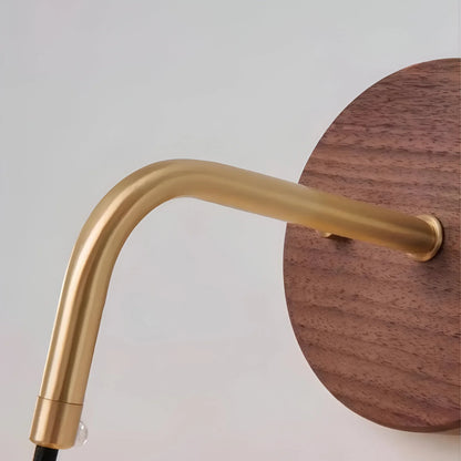 Walnut Brass Wall Light Modern Accent Lamp