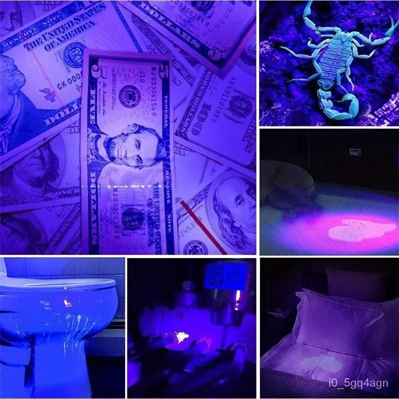 UV Flashlight for Bed Bug & Stain Detection