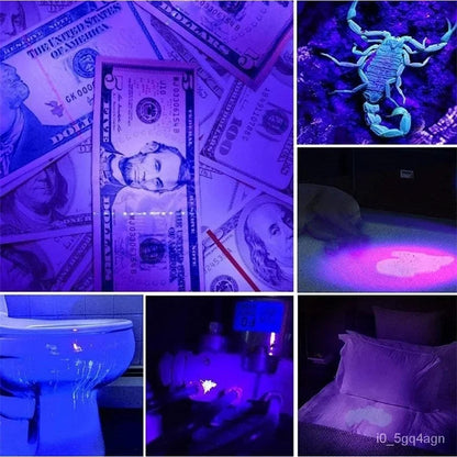 UV Flashlight for Bed Bug & Stain Detection